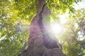 Hole in the trunk of the famous Birnam Oak, an ancient tree in Scotland linked to ShakespeareÃ¢â¬â¢s Macbeth.