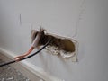 Hole in a wall prepared for an electrical socket