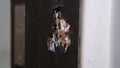 A hole on wood door frames that eaten by termites, Termine comb. Royalty Free Stock Photo
