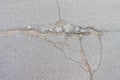 Holes and damage on an asphalt road. Close-up Royalty Free Stock Photo