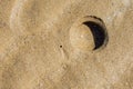 Holes of Solen Marginatus in the sand of the beach