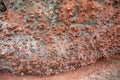 Holes in stone - Tafoni weathering in red sandstone