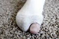 Holey Sock White Poor Textures Toe