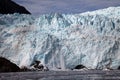 Holgate Glacier calving