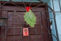 HOLGUIN, CUBA: Entrance door of the house with a tied cactus and a sign with a picture of the eye and tongue.