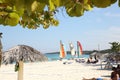 Holguin, Cuba. 11.25.2018 Tropical beach with blu sea, blu sky and palms Royalty Free Stock Photo