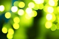 Holiday abstract green and yellow lights