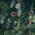 Holiday background of Christmas tree branches, spruce, juniper, fir, larch, pine cones. Xmas and New Year theme. Flat lay, top