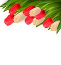 Holiday background with colorful flowers.