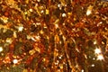 Holiday background from gold glitter paillettes, close up. Royalty Free Stock Photo