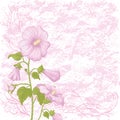 Holiday background with mallow flowers