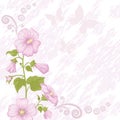 Holiday background with mallow flowers