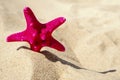Holiday background with sea star on sand at the beach Royalty Free Stock Photo