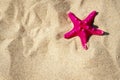 Holiday background with sea star on sand at the beach Royalty Free Stock Photo