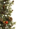 Christmas evergreen border on white