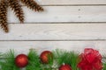 Holiday border with greenery along the bottom and copy space Royalty Free Stock Photo