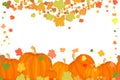 Holiday border with pumpkins and autumn leaves isolated on white background. Royalty Free Stock Photo