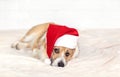 Holiday card with cute ginger puppy dog Corgi in Santa`s Christmas red hat lying on white plaid