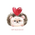 Holiday card with hedgehog, red heart and text I love you for St. Valentine day. White background with cute watercolor Royalty Free Stock Photo