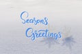 Holiday card with lettering text Seasons Greetings Royalty Free Stock Photo