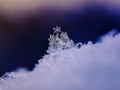 Holiday card of shiny beautiful snowflakes lying in a winter Par Royalty Free Stock Photo