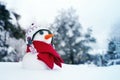 Small cute snowman in a knitted hat and a scarf with a carrot nose on the snow on a winter day, close up.