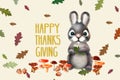 Holiday card for Thanksgiving day. Royalty Free Stock Photo