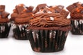 Holiday Chocolate Cupcakes Royalty Free Stock Photo