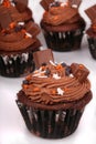 Holiday Chocolate Cupcakes Royalty Free Stock Photo