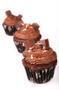 Holiday Chocolate Cupcakes Royalty Free Stock Photo