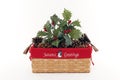 Holiday Christmas Basket Royalty Free Stock Photo