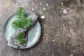 Holiday Christmas food background, cutlery, plate, napkin with ring and Christmas tree branch, table setting in silver