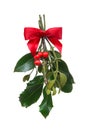 Holiday Christmas Mistletoe Royalty Free Stock Photo