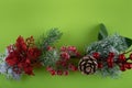 Holiday Christmas, New year border. Green pine tree branch, cone, red flower, cranberries, snow on green background. Top Royalty Free Stock Photo