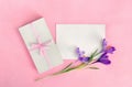 Holiday composition, white gift box with pink ribbon and blank sheet with flowers violet crocuses on pink paper background Royalty Free Stock Photo