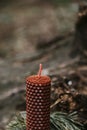 holiday concept candle on an old log in the forest Royalty Free Stock Photo