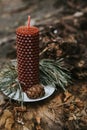 holiday concept candle on an old log in the forest Royalty Free Stock Photo