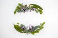 Holiday concept - frame wreath with evergreen succulent blue and