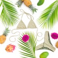 Holiday concept. Tropical fruits with palm leaves and bikini on white background. Flat lay Royalty Free Stock Photo