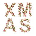 Holiday concept. Word XMAS on white background.Symbol letters collected from the Christmas decor - acorns, cones, berries and