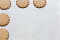 Holiday cookies on baking paper, traditional Christmas treat. Festive background with Ginger cookies. Text space, empty template Royalty Free Stock Photo