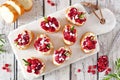 Holiday crostini appetizers with cranberries, pomegranates and feta, top view on a white platter