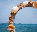 Holiday decoration. Summer beach concept. Ocean wildlife.