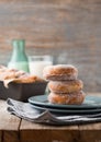 Holiday donut,Polish donut,traditional donut,donut classic,donut home,a donut for an old recipe,donut with jam,donut with filling Royalty Free Stock Photo