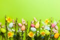 Green Easter background with eggs and wilow branches Royalty Free Stock Photo