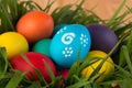 holiday Easter eggs in basket with grass Royalty Free Stock Photo