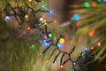 Holiday electric colorful garlands on pine branch.Christmas tree decoration. Royalty Free Stock Photo