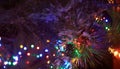 Holiday electric colorful garlands on pine branch.Christmas tree decoration. Royalty Free Stock Photo