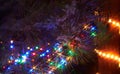 Holiday electric colorful garlands on pine branch.Christmas tree decoration. Royalty Free Stock Photo