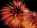 Holiday firework red-orange splashes Royalty Free Stock Photo